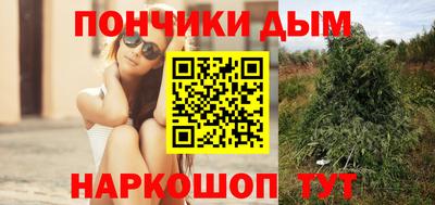 СК Заводоуковск